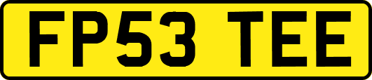 FP53TEE