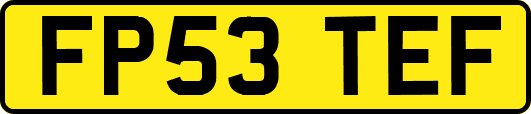 FP53TEF