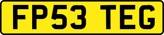 FP53TEG
