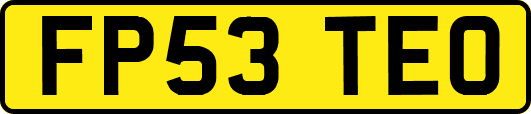 FP53TEO