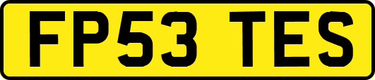 FP53TES