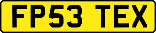 FP53TEX