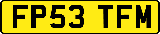 FP53TFM