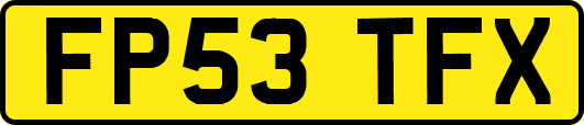 FP53TFX