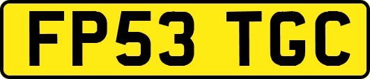 FP53TGC
