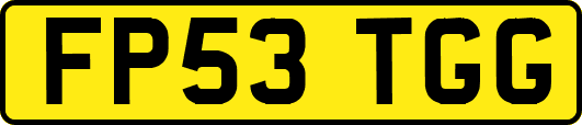 FP53TGG