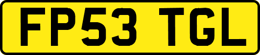 FP53TGL