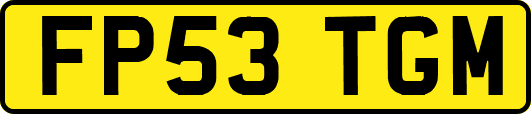 FP53TGM