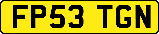 FP53TGN