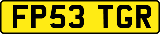 FP53TGR
