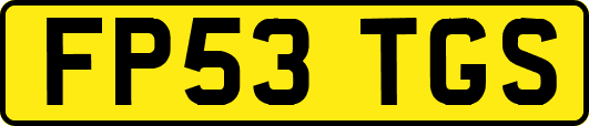 FP53TGS
