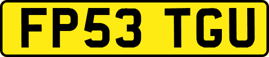 FP53TGU