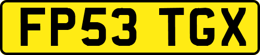 FP53TGX