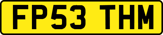 FP53THM