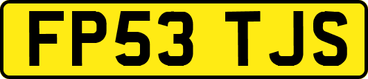 FP53TJS