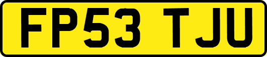FP53TJU