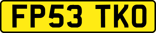 FP53TKO