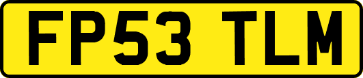 FP53TLM