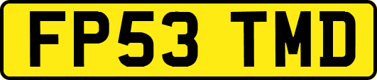 FP53TMD