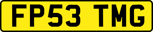FP53TMG