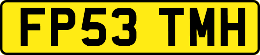 FP53TMH