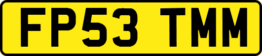 FP53TMM