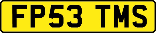 FP53TMS