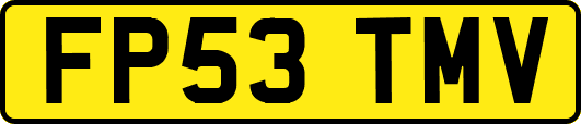 FP53TMV