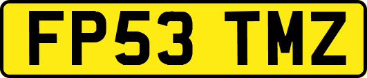 FP53TMZ