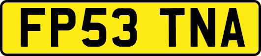 FP53TNA