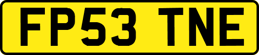 FP53TNE
