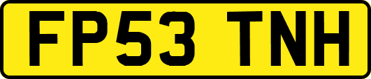 FP53TNH