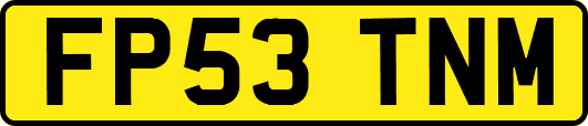 FP53TNM