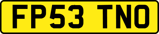 FP53TNO