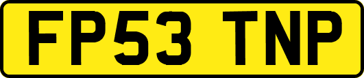 FP53TNP