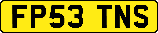FP53TNS