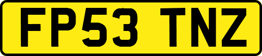 FP53TNZ