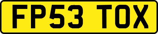 FP53TOX
