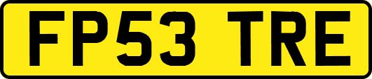 FP53TRE