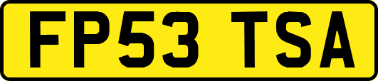 FP53TSA
