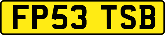 FP53TSB