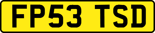 FP53TSD