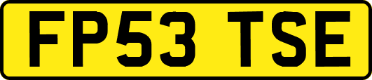 FP53TSE