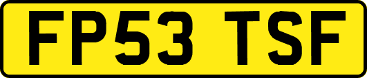 FP53TSF