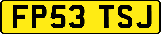 FP53TSJ