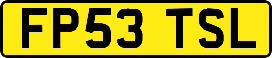 FP53TSL