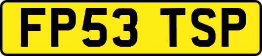 FP53TSP