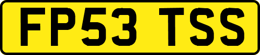FP53TSS