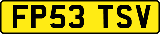 FP53TSV