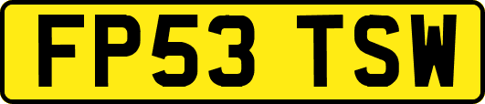 FP53TSW